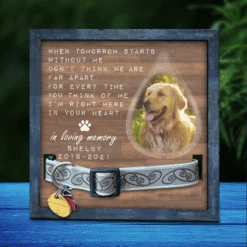 When Tomorrow Starts Without Me, We're Still Not Far Apart - Memorial Personalized Custom Pet Loss Sign, Collar Frame - Upload Image, Sympathy Gift, Gift For Pet Owners, Pet Lovers