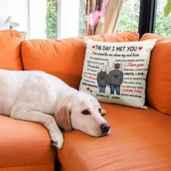 The Day I Met You - Gift For Couples, Personalized Pillow (Insert Included) -Pawfect House Store 6. THUMBNAIL 1 622a73c8 b151 40ef b9a4 916cbc9cf38b