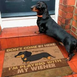 Don't Come In Here I'm Playing With My Wieners - Funny Personalized Decorative Mat