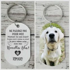 Ne Pleurez Pas Pour Moi, Je Vais Bien ! - Télécharger Une Image - Personalized Keychain French