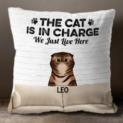 The Cats Are In Charge - Funny Personalized Cat Pillow (Insert Included)