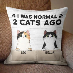 I Was Normal With My Cats - Funny Personalized Cat Pillow (Insert Included) -Pawfect House Store 6.thumbnail2 a41ba5fa c5f3 4aed 9a37 c2aaa41b0b1a