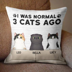 I Was Normal With My Cats - Funny Personalized Cat Pillow (Insert Included) -Pawfect House Store 6.thumbnail3 73a9358d b219 4074 a90f 0305aaa36236