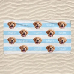 Custom Photo Summer Days And Pet Cuddles - Dog & Cat Personalized Custom Beach Towel - Summer Vacation Gift, Birthday Pool Party Gift For Pet Owners, Pet Lovers -Pawfect House Store 66794dd4c5de5