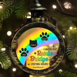 Every Rainbow Is A Reminder Of The Love We Shared - Memorial Personalized Custom Candlelight Lantern Ornament - Christmas Gift, Sympathy Gift For Pet Owners, Pet Lovers 10 Every Rainbow Is A Reminder Of The Love We Shared - Memorial Personalized Custom Candlelight Lantern Ornament - Christmas Gift, Sympathy Gift For Pet Owners, Pet Lovers -Pawfect House Store 6703bcde247fd