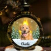 Custom Photo In Loving Memory Of A Loyal Friend - Memorial Personalized Custom Candlelight Lantern Ornament - Sympathy Gift, Christmas Gift For Pet Owners, Pet Lovers