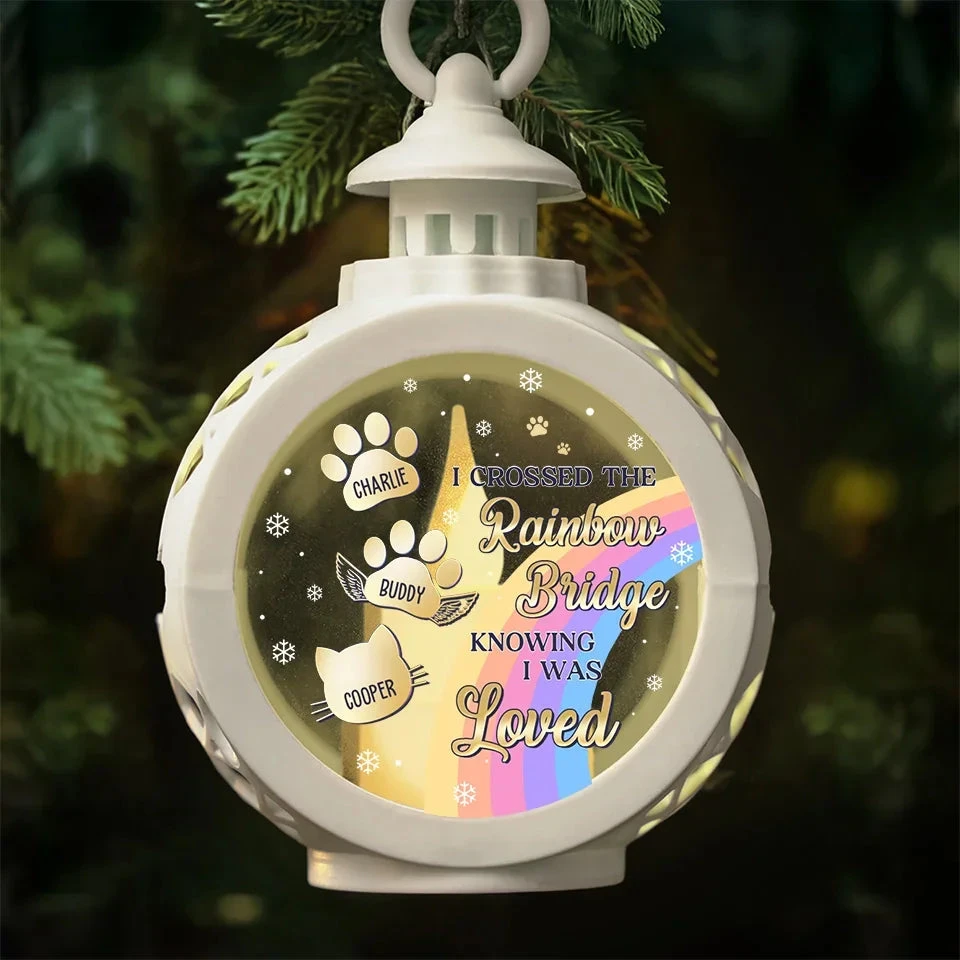 I Wish The Rainbow Bridge Had Visiting Hours - Memorial Personalized Custom Candlelight Lantern Ornament - Christmas Gift, Sympathy Gift For Pet Owners, Pet Lovers 4 I Wish The Rainbow Bridge Had Visiting Hours - Memorial Personalized Custom Candlelight Lantern Ornament - Christmas Gift, Sympathy Gift For Pet Owners, Pet Lovers - Image 4