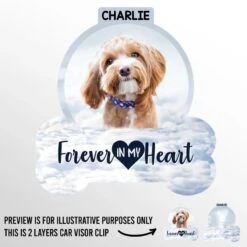 Custom Photo I Will Carry You With Me - Memorial Personalized Custom Car Visor Clip - Sympathy Gift For Pet Owners, Pet Lovers 5 Custom Photo I Will Carry You With Me - Memorial Personalized Custom Car Visor Clip - Sympathy Gift For Pet Owners, Pet Lovers -Pawfect House Store 67d15e7e4ab73