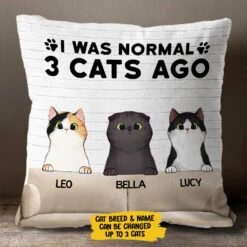 I Was Normal With My Cats - Funny Personalized Cat Pillow (Insert Included) 7 I Was Normal With My Cats - Funny Personalized Cat Pillow (Insert Included) -Pawfect House Store 7.AD1 3ee7fe3c 8dff 4d8b af84 4bef276e868f