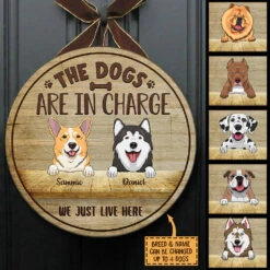 Pawfect House Store -Pawfect House Store 7.AD2 6c027d4f a3ed 4a79 bb34 5f91676cae7f