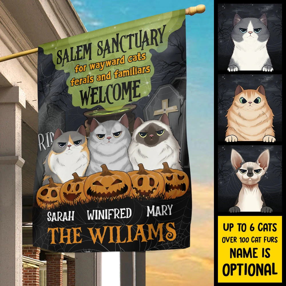 Salem Sanctuary For Wayward Cats - Personalized Funny Cat Flag 3 Salem Sanctuary For Wayward Cats - Personalized Funny Cat Flag - Image 3