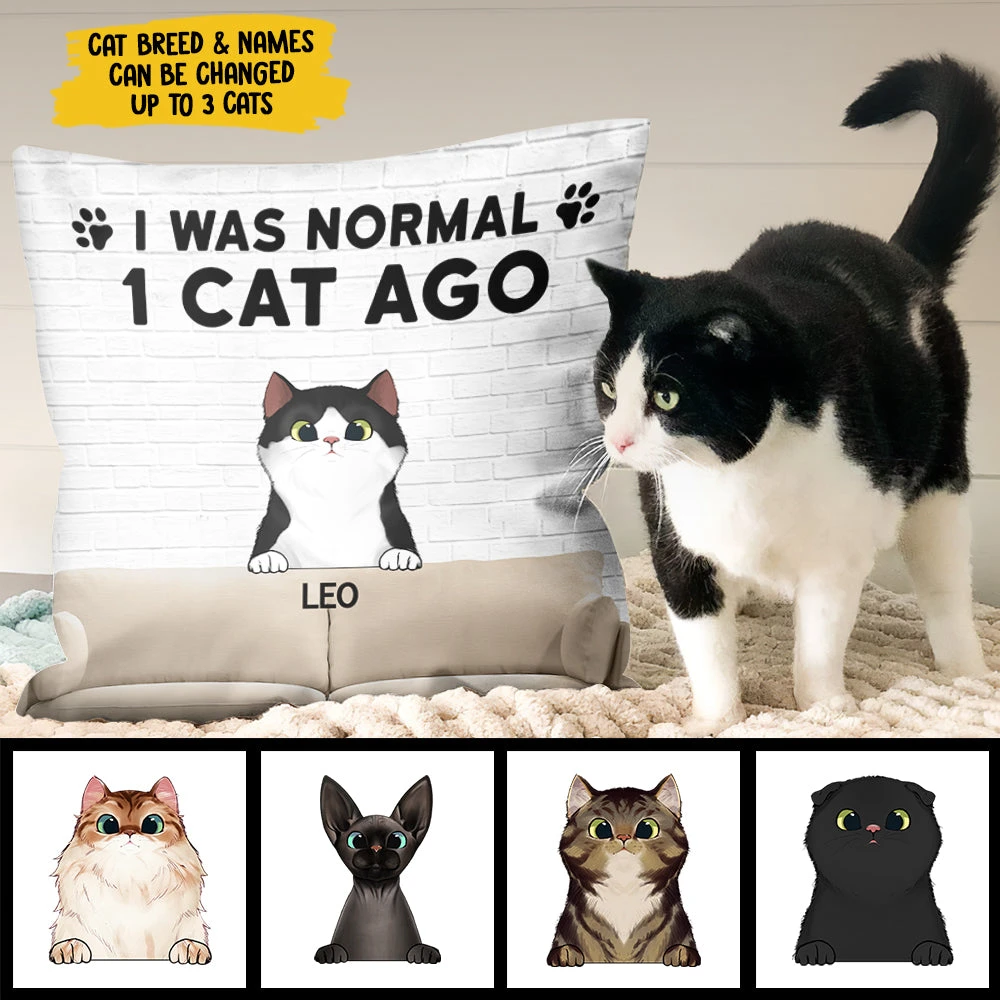 I Was Normal With My Cats - Funny Personalized Cat Pillow (Insert Included) 1 I Was Normal With My Cats - Funny Personalized Cat Pillow (Insert Included)