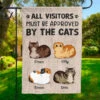 The Cats Own This Land - Cat Personalized Custom Flag - Gift For Pet Lovers, Pet Owners