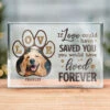 Custom Photo So Much Love Between Hello & Goodbye - Memorial Personalized Custom Rectangle Shaped Acrylic Plaque - Sympathy Gift, Gift For Pet Owners, Pet Lovers