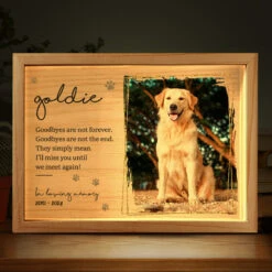 Custom Photo You Would Have Lived Forever - Memorial Personalized Custom Frame Light Box - Sympathy Gift For Pet Owners, Pet Lovers