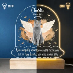 Custom Photo In My Heart You Will Always Stay - Memorial Personalized Custom Shaped 3D LED Light - Sympathy Gift For Pet Owners, Pet Lovers -Pawfect House Store THUMB3 a3c36f2c dec4 4fd8 91a5 29ad55b8a22f
