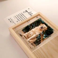 Custom Photo You Would Have Lived Forever - Memorial Personalized Custom Frame Light Box - Sympathy Gift For Pet Owners, Pet Lovers -Pawfect House Store THUMB3 b350c0ff 966d 453b aa1f 00a24d2060bb