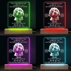 Custom Photo Every Time You Think Of Me - Memorial Personalized Custom Shaped 3D LED Light - Sympathy Gift For Pet Owners, Pet Lovers -Pawfect House Store THUMB4 1dac7512 f46c 4fe8 a286 2601953cdcaa