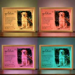 Custom Photo You Would Have Lived Forever - Memorial Personalized Custom Frame Light Box - Sympathy Gift For Pet Owners, Pet Lovers -Pawfect House Store THUMB4 e1ce9ac3 a431 4b24 9954 eecfe0d28fb6
