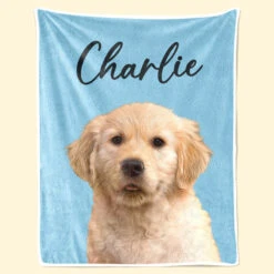 Custom Photo You Are My Sunshine - Dog & Cat Personalized Custom Blanket - Christmas Gift For Pet Owners, Pet Lovers -Pawfect House Store Thumb 2 e8ef8e2e 9879 4681 88a1 1281c326e6b5