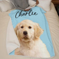 Custom Photo You Are My Sunshine - Dog & Cat Personalized Custom Blanket - Christmas Gift For Pet Owners, Pet Lovers -Pawfect House Store Thumb 4 59884968 8ddd 43f2 bb11 bb49efa897a1
