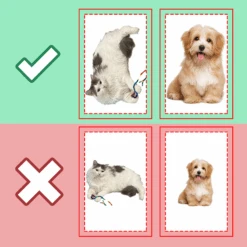 Custom Photo My Beloved Fur Baby - Dog & Cat Personalized Custom Shaped Pillow - Gift For Pet Owners, Pet Lovers -Pawfect House Store Thumb4 1