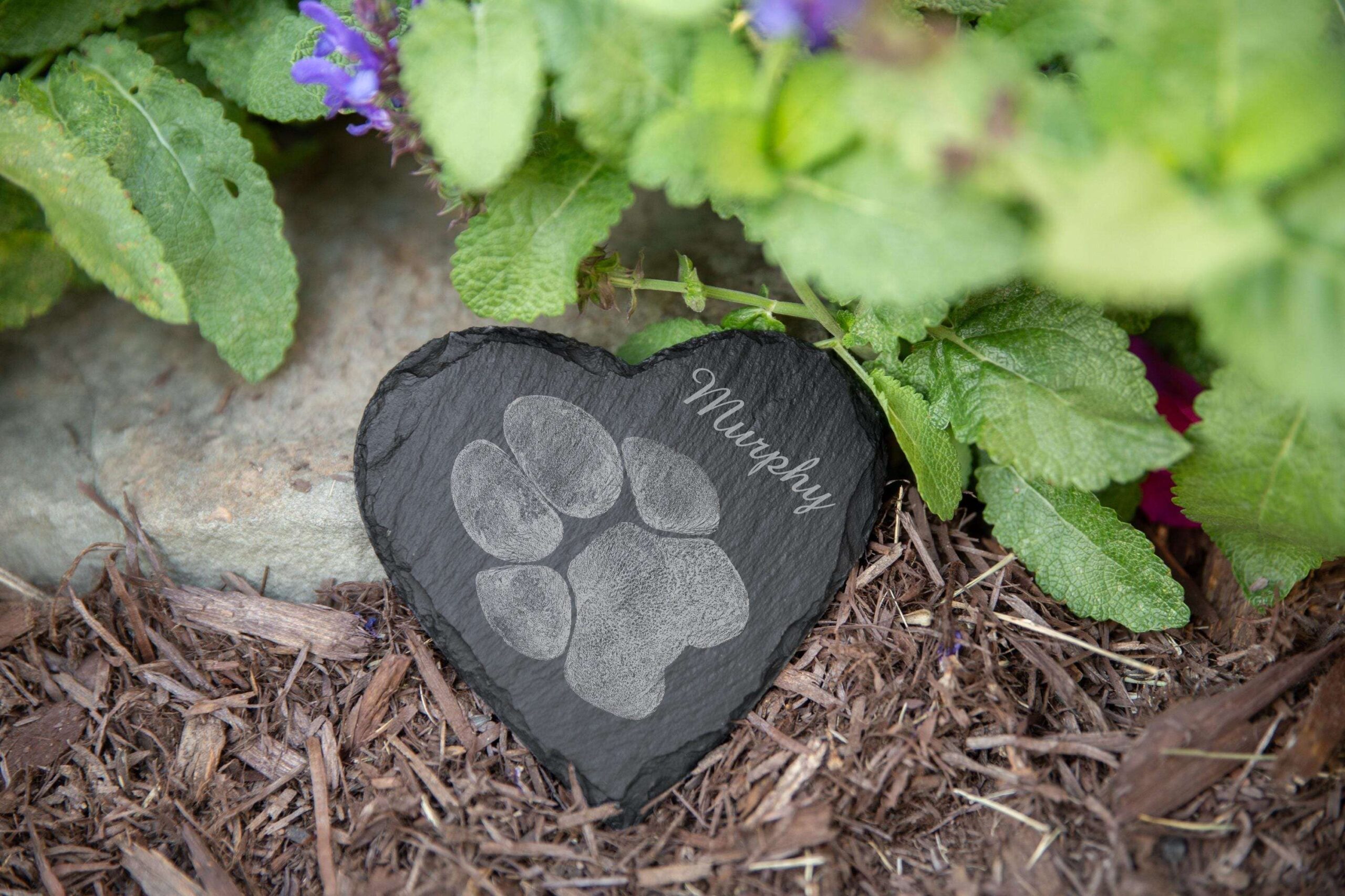 Pawfect House Store -Pawfect House Store il fullxfull.6919168527 cuu6 scaled