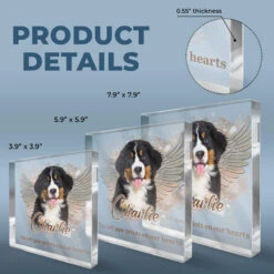 Pets Teach Us The Purest Kind Of Love - Memorial Personalized Custom Square Shaped Acrylic Plaque - Sympathy Gift, Gift For Pet Owners, Pet Lovers -Pawfect House Store thumb 3 9454ad20 c316 43d4 9c78 41b4b4ccb6d6