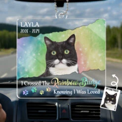Custom Photo I Wish The Rainbow Bridge Had Visiting Hours - Memorial Personalized Custom Car Ornament - Acrylic Custom Shaped - Sympathy Gift For Pet Owners, Pet Lovers