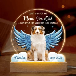 Custom Photo I Can Even Fly With My New Wings - Memorial Personalized Custom Shaped 3D LED Light - Sympathy Gift For Pet Owners, Pet Lovers