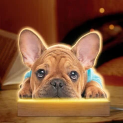 Custom Photo Life Is Better With Fur Baby - Dog & Cat Personalized Custom Shaped 3D LED Light - Upload Photo Gift For Pet Owners, Pet Lovers