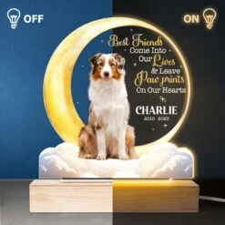Custom Photo You Leave Paw Prints On Our Hearts - Memorial Personalized Custom Shaped 3D LED Light - Sympathy Gift For Pet Owners, Pet Lovers -Pawfect House Store thumb3 9841ab5b c9fe 4454 9b2e da7a086ef26b