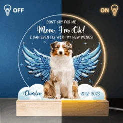 Custom Photo I Can Even Fly With My New Wings - Memorial Personalized Custom Shaped 3D LED Light - Sympathy Gift For Pet Owners, Pet Lovers -Pawfect House Store thumb3 d6722b1a e49b 4e62 8756 eedbb2d7146d