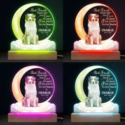 Custom Photo You Leave Paw Prints On Our Hearts - Memorial Personalized Custom Shaped 3D LED Light - Sympathy Gift For Pet Owners, Pet Lovers -Pawfect House Store thumb4 0b8823e4 cbe4 4300 a0b7 b20953d0dc60