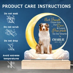 Custom Photo You Leave Paw Prints On Our Hearts - Memorial Personalized Custom Shaped 3D LED Light - Sympathy Gift For Pet Owners, Pet Lovers -Pawfect House Store thumb5 141e1a6a 6561 4eaa a2f3 cae31767dd7a