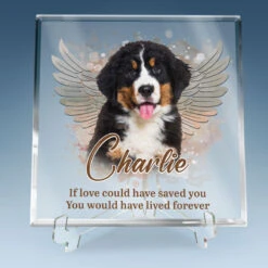 Pets Teach Us The Purest Kind Of Love - Memorial Personalized Custom Square Shaped Acrylic Plaque - Sympathy Gift, Gift For Pet Owners, Pet Lovers -Pawfect House Store thumb 2da208f2 cba8 4ae1 8f65 cc99c0e3169f
